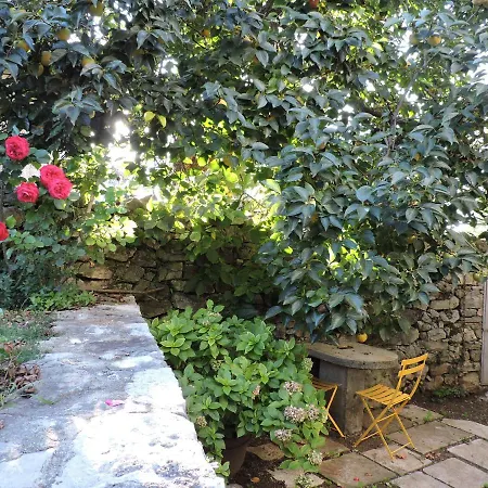 Tipitapi Апартаменты